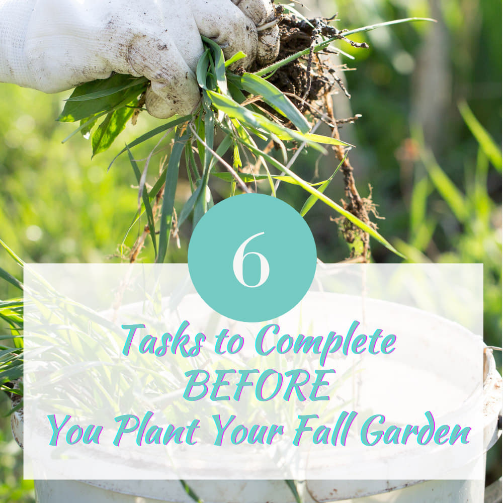 Six Steps to Prepare for the Fall Garden