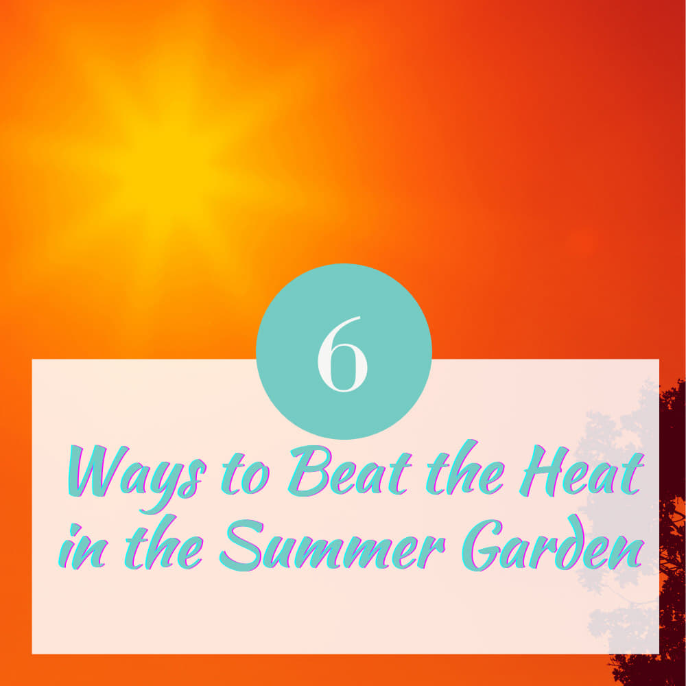 Six Ways to Beat the Heat in the Garden