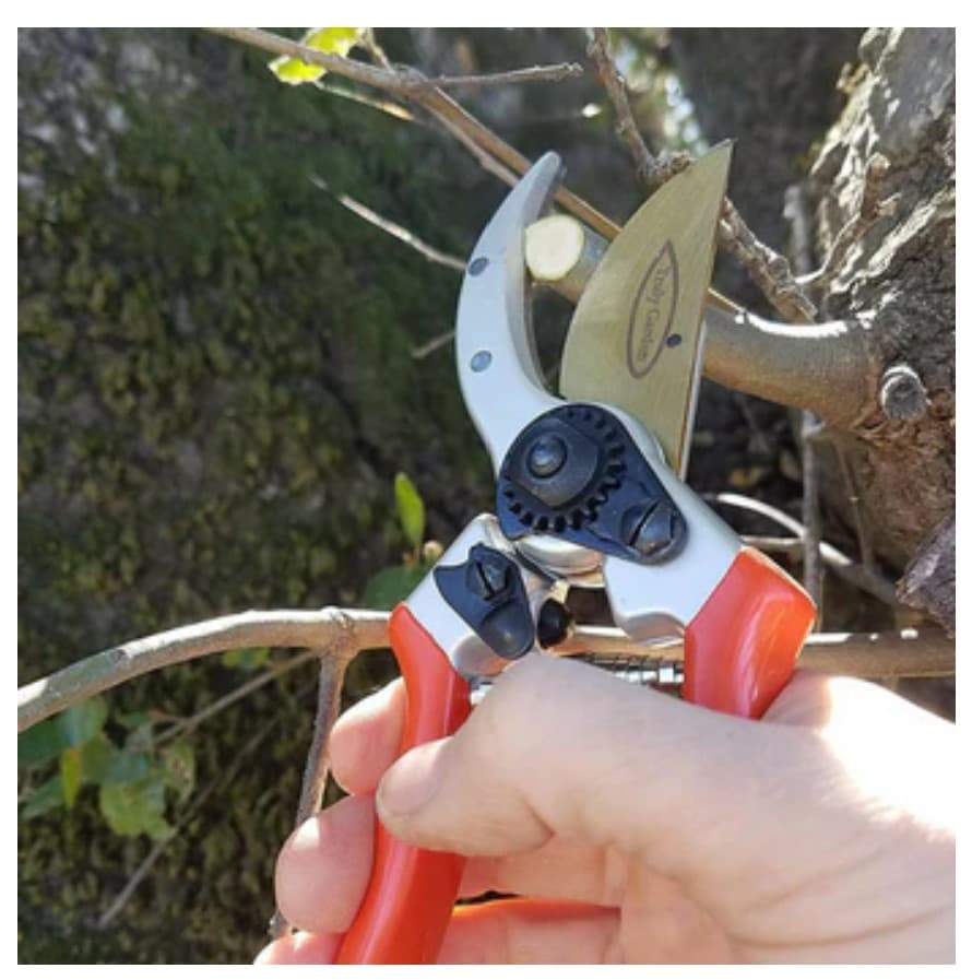 Truly Garden Bypass Pruning Shears