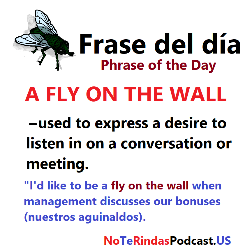 Frase del día 28/10