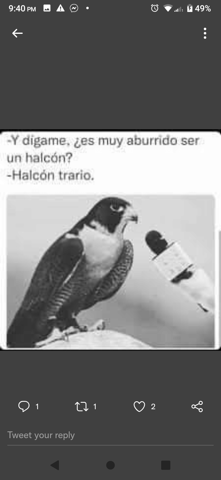 Ganadora de rifa, reseñas