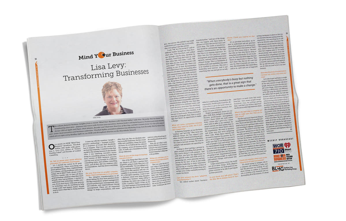 An Interview with Lisa Levy: Transforming Businesses