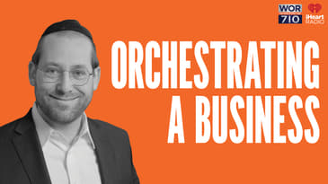 317: Orchestrating a Business featuring Ari Boiangiu, Owner of Blue Melody Group