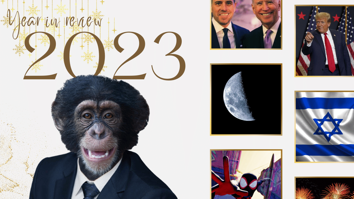 2023: A Year in Review
