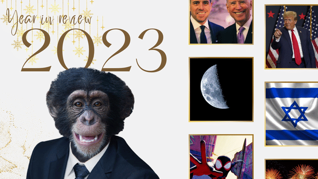 2023: A Year in Review