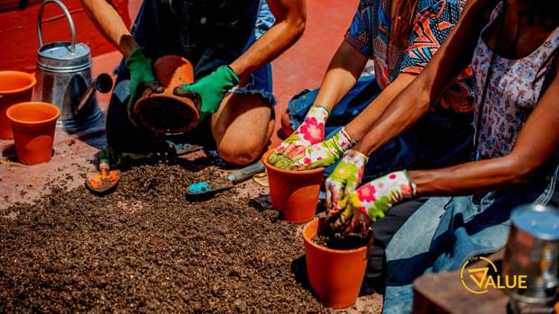 Building Community Wealth through Social Entrepeneurship