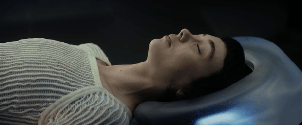 The Experience of Wendy & the Lost Boys