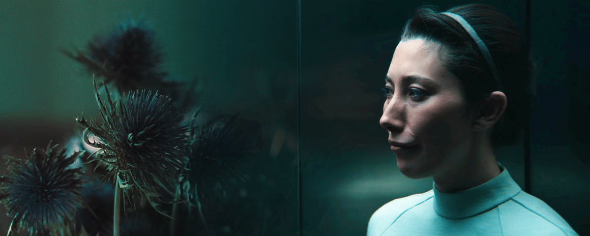 The Resilient Thistle: What Tolstoy’s Hadji Murat Tells Us About Gemma in Severance