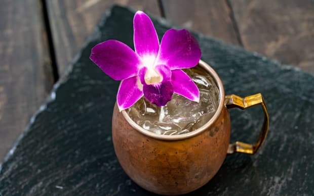 Libation Exploration | Exploring for the Holidays