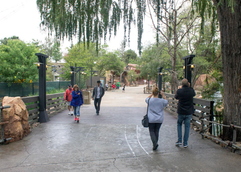 New Disney Park Policies - Removal of Smoking Areas and Large Strollers