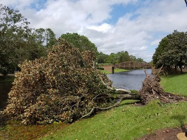 EarzUp! | How Disney Prepares For Disasters