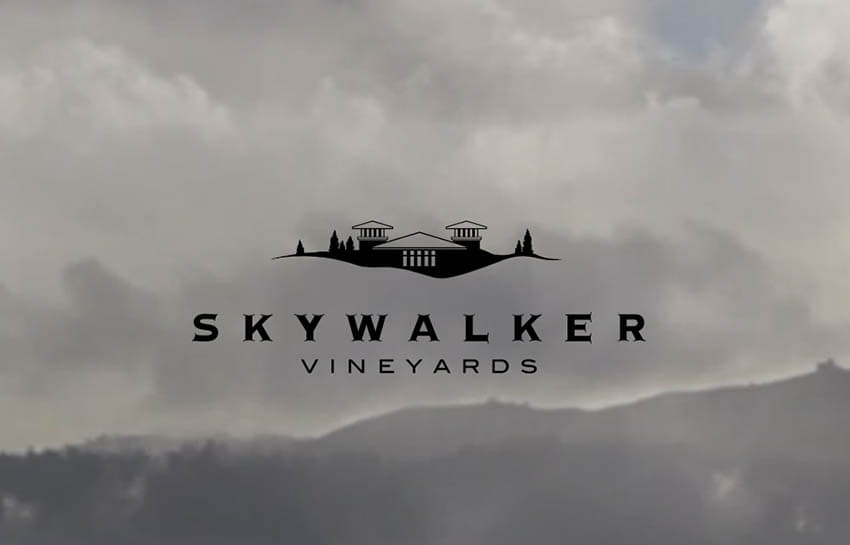 Top Five Disney-Adjacent Wineries