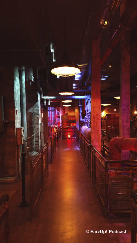 EarzUp! | New Year's At Disneyland