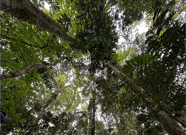 American Loneliness and Mental Health