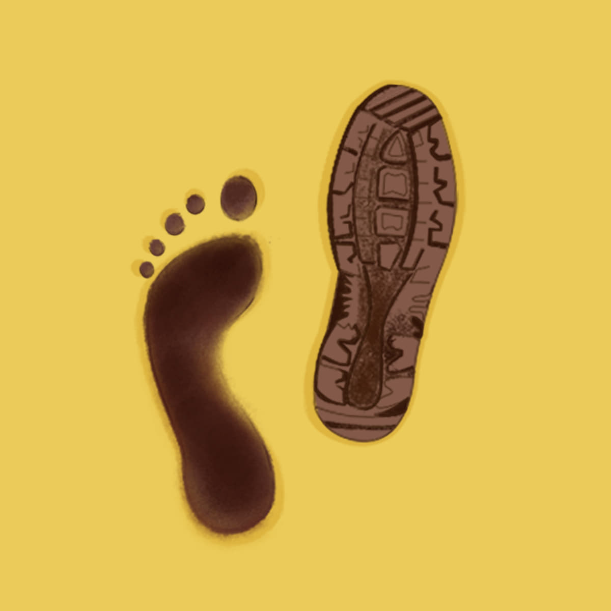 Exploring the evolution of human anatomy and movement patterns.