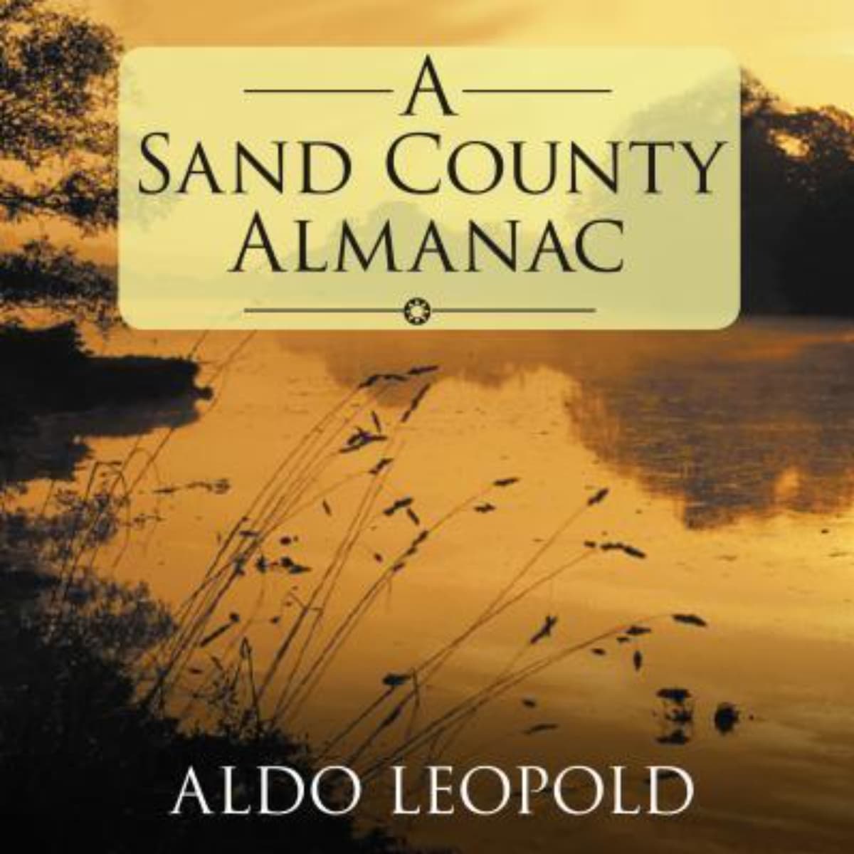A Sand County Almanac: Nature’s Insights and Conservation Philosophy