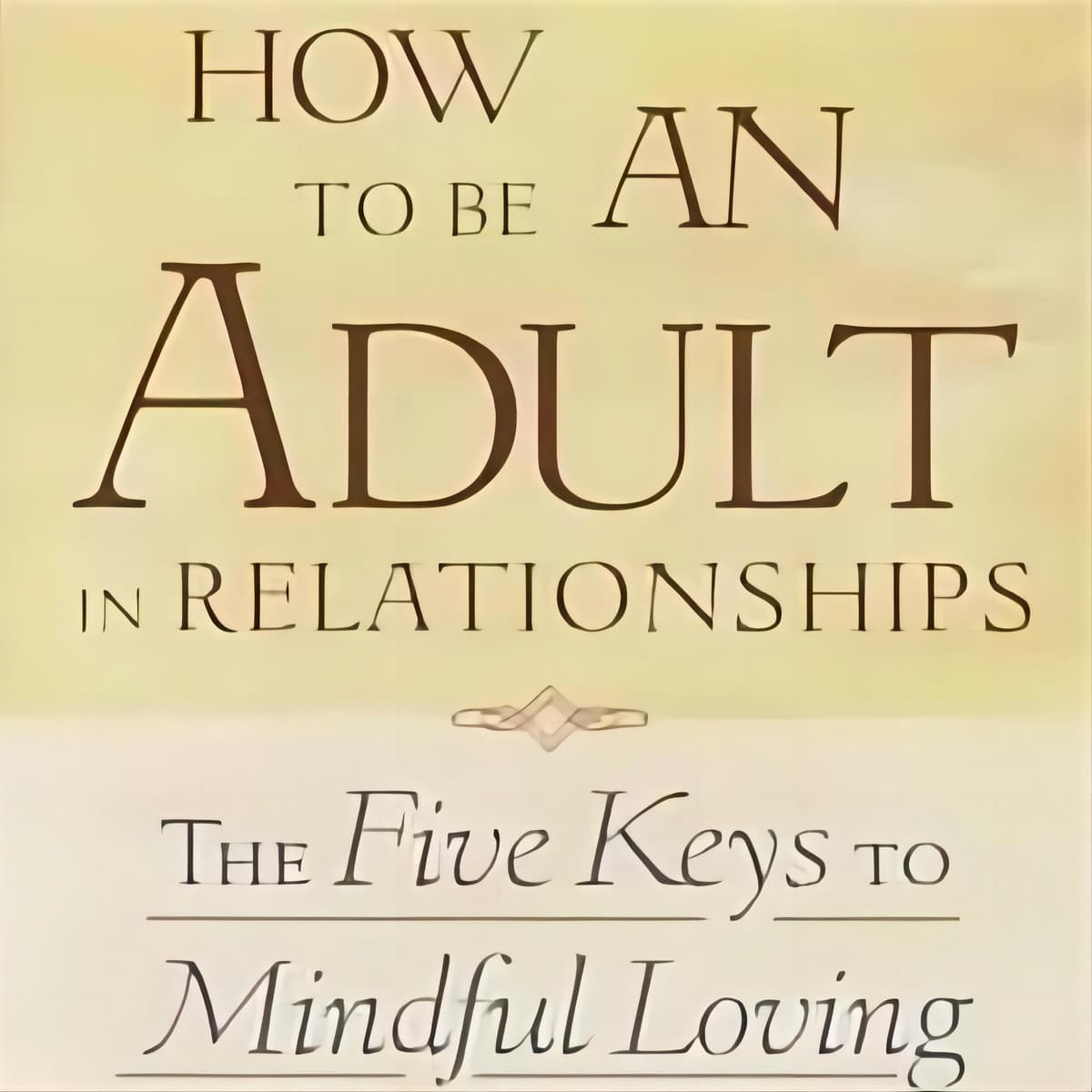 The Book How to Be an Adult in Relationships Summary