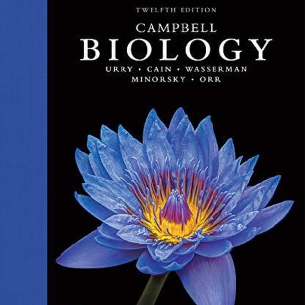Campbell Biology: An Engaging Audio Summary for Aspiring Scientists