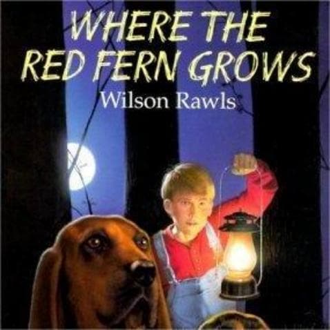 Where the Red Fern Grows: A Heartwarming Summary