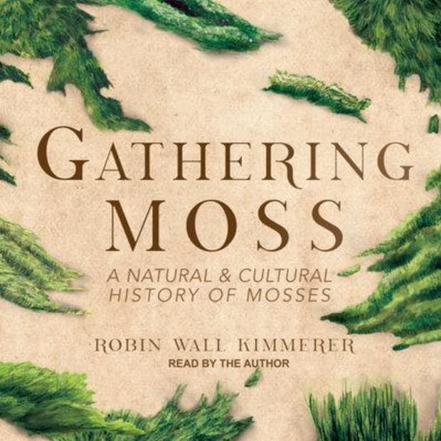 Gathering Moss: An Audio Journey into Nature's Wisdom