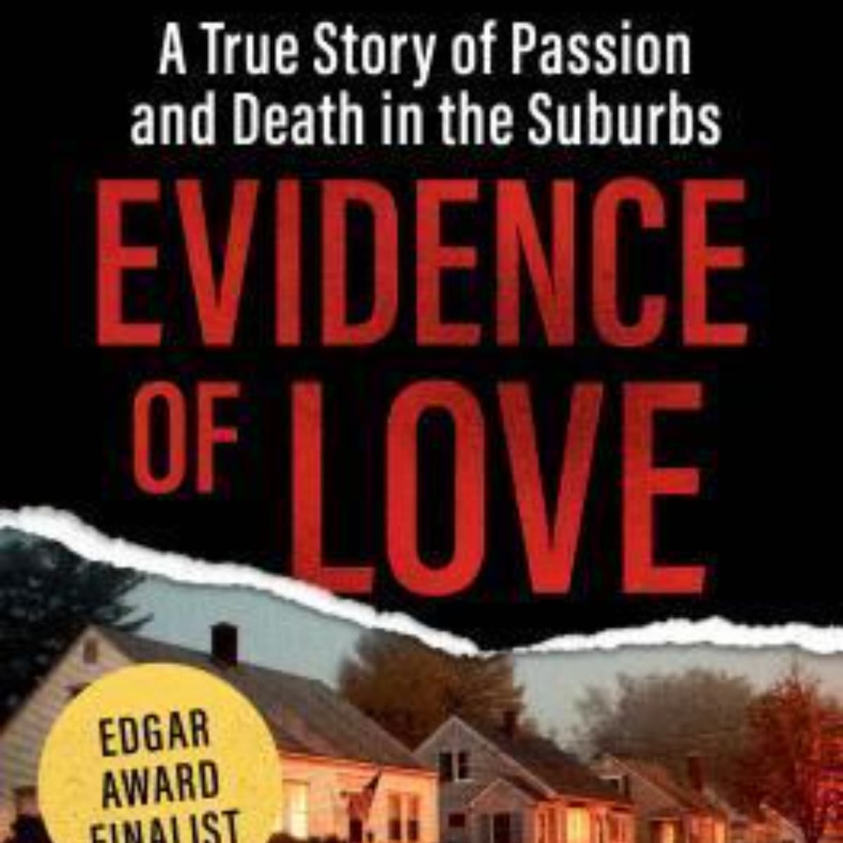 Evidence of Love: A Captivating Summary Enhanced by Audio Insights