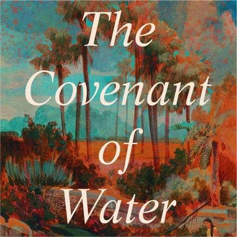 Exploring the symbolism of water in Verghese's novel