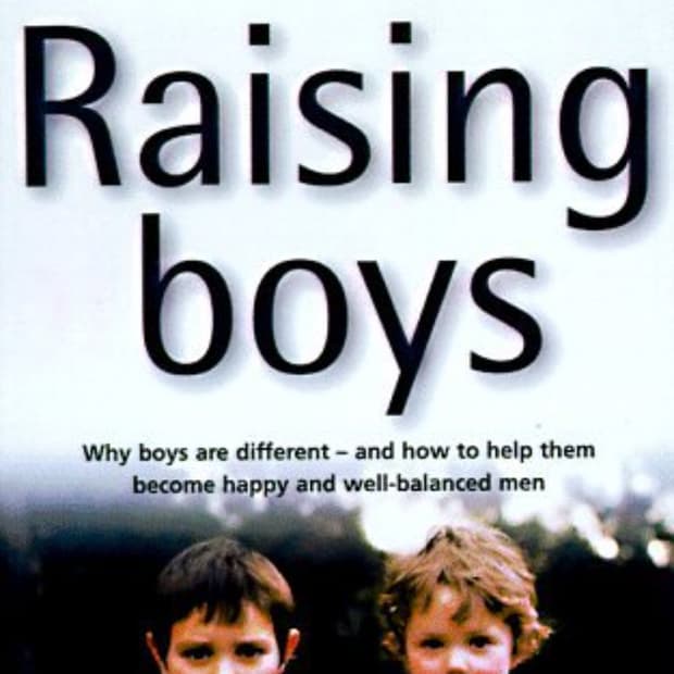 Raising Boys: Key Insights from Steve Biddulph's Guide