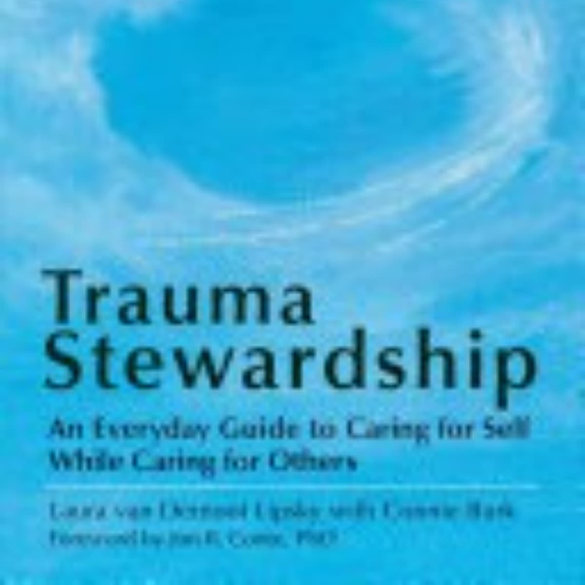 Trauma Stewardship: Insights on Healing and Resilience
