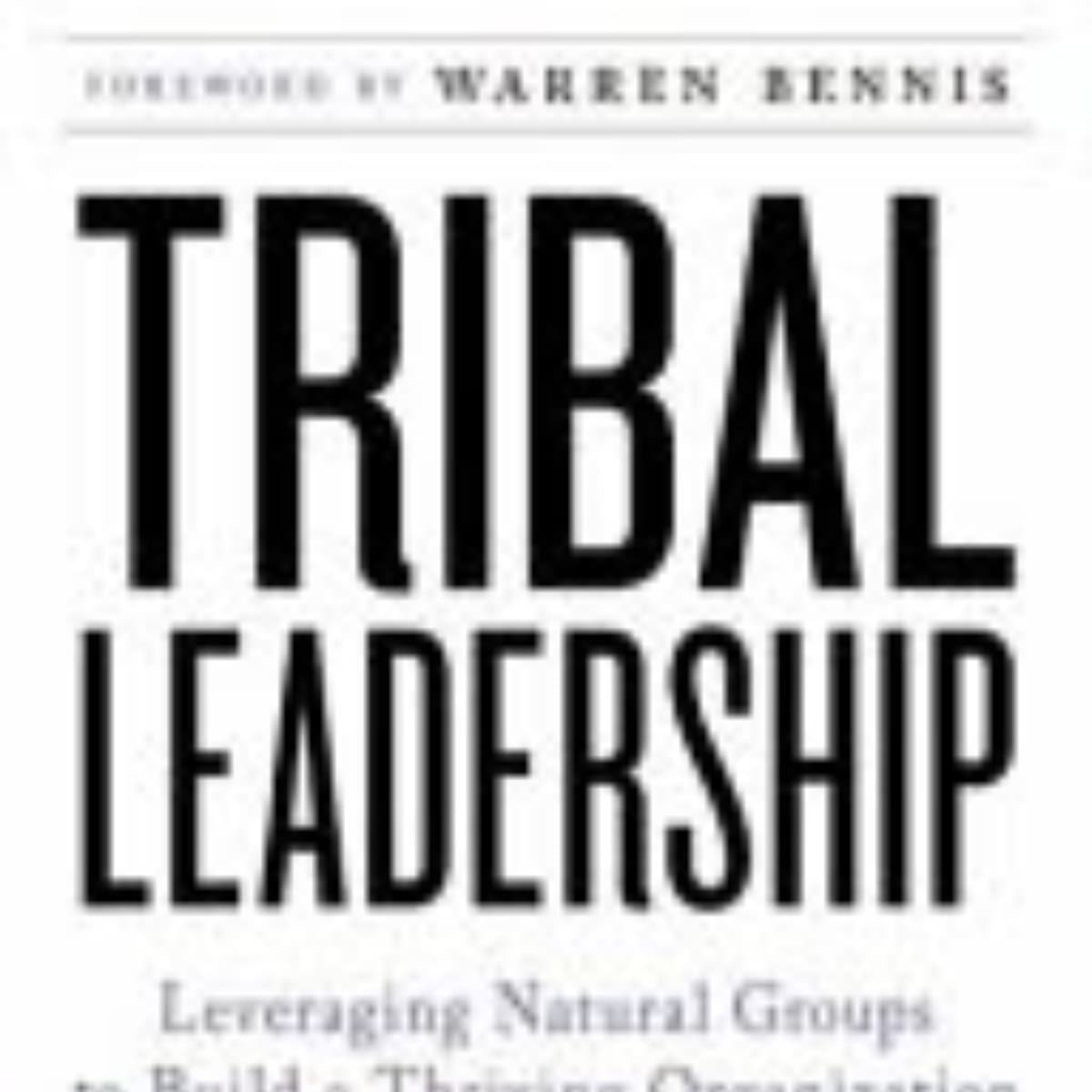 Tribal Leadership: Key Insights and Summary of Principles