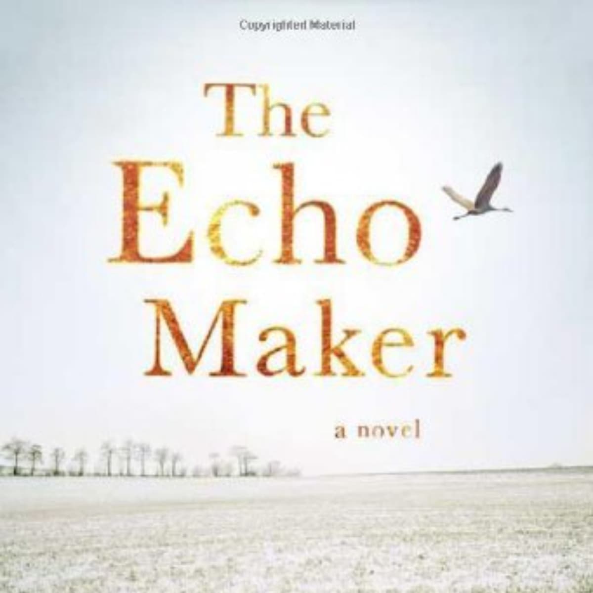 The Echo Maker: A Deep Dive into Identity and Memory