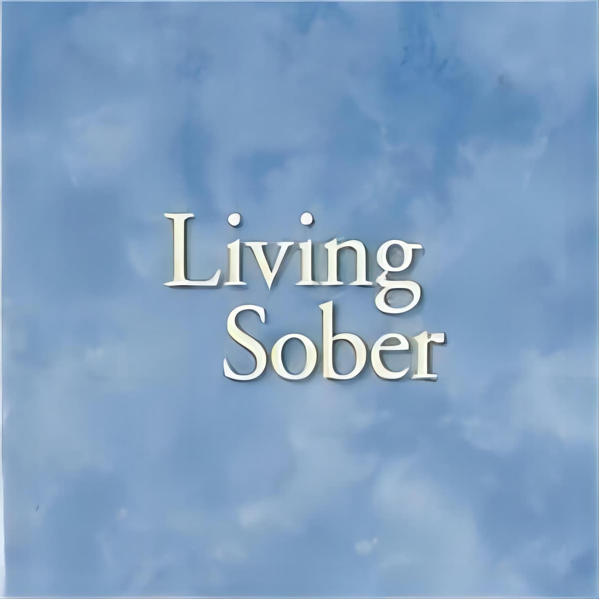 Book Living Sober: A Guide to Living Sober Successfully