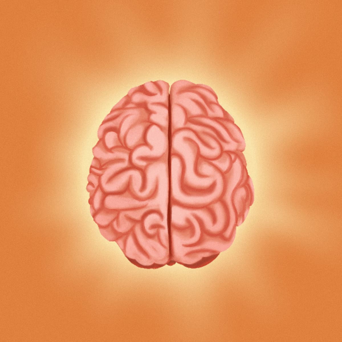 Brain Rules: A Comprehensive Summary of John Medina's Book