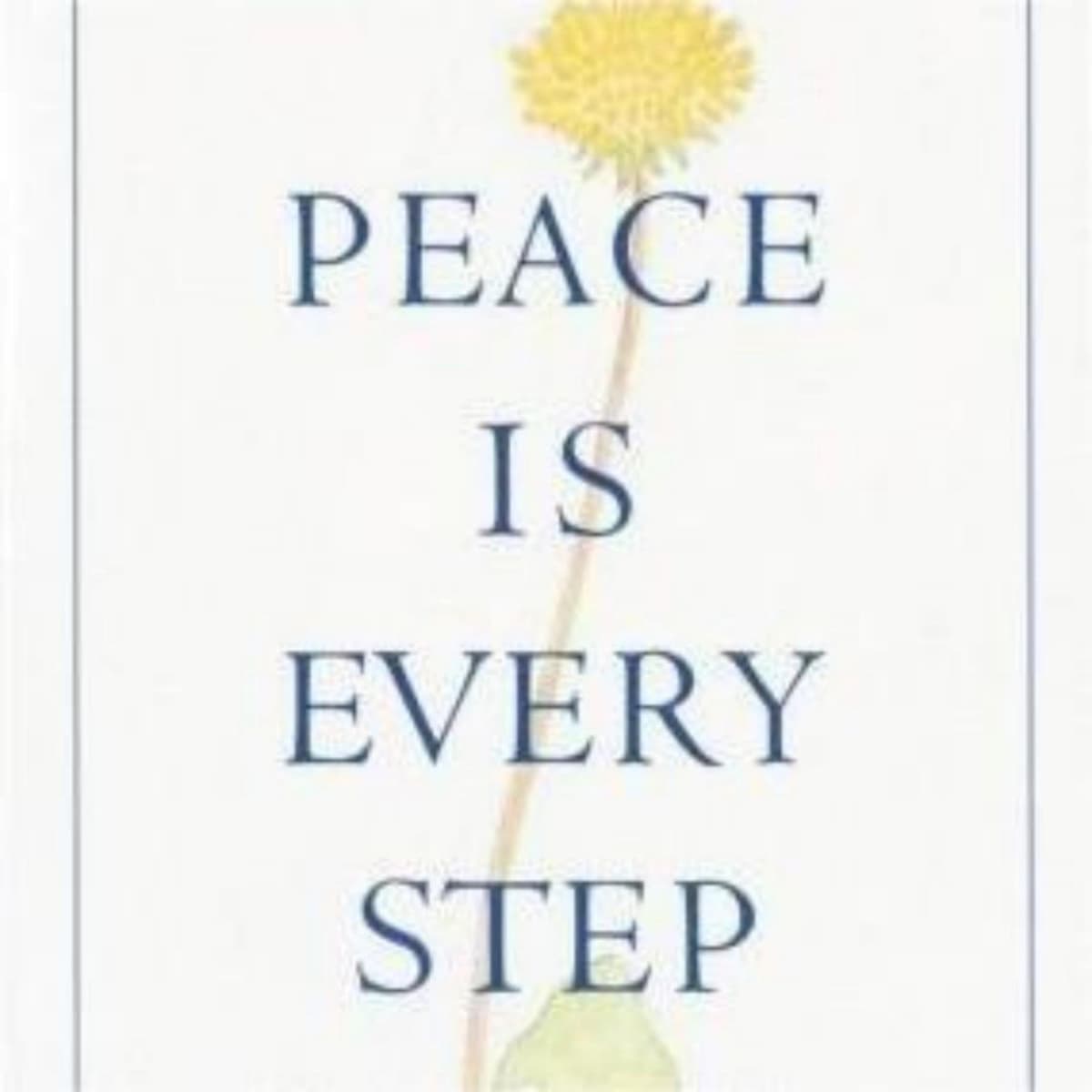 Finding peace within: A summary of Peace Is Every Step