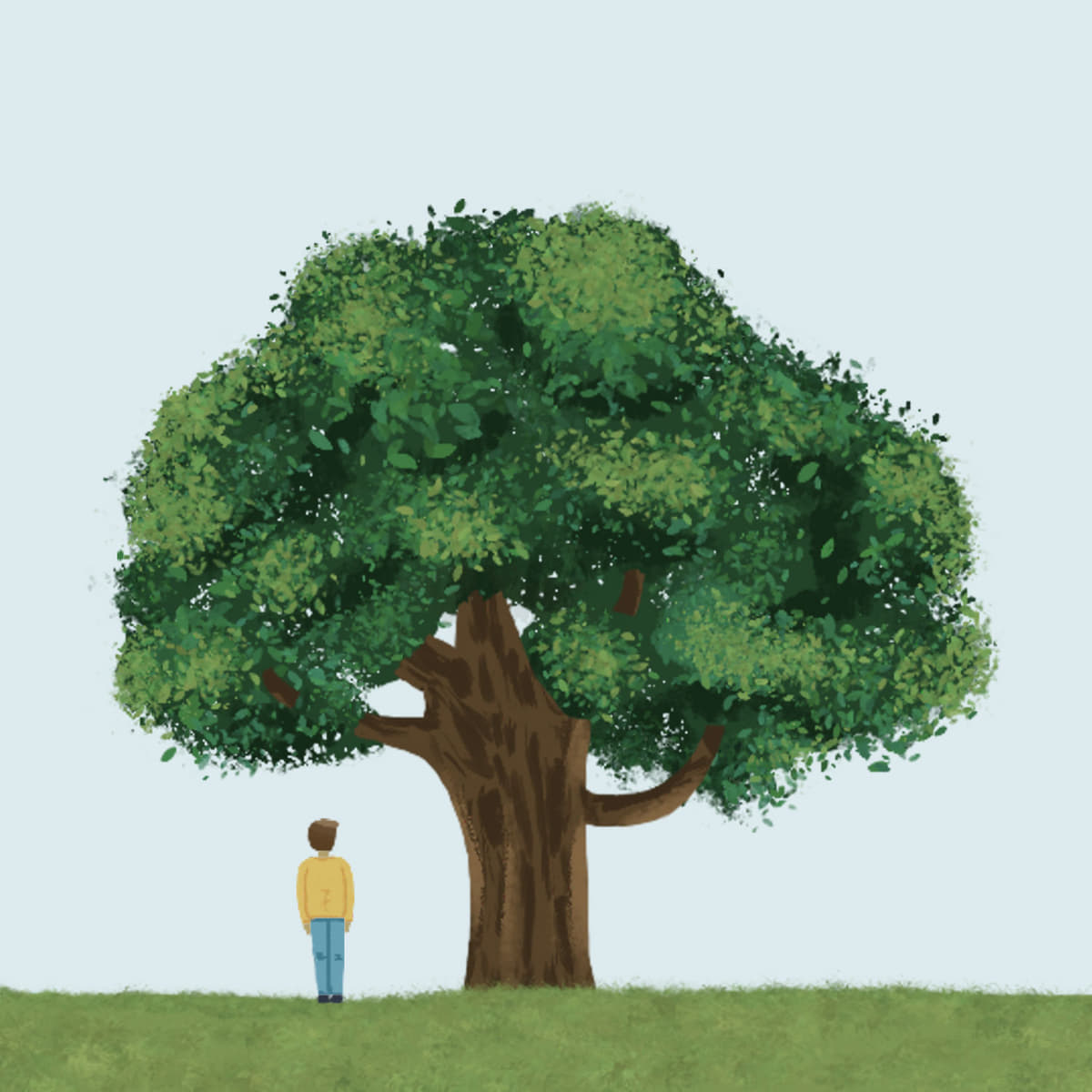 Discovering the keys to a fulfilling existence: Schopenhauer's insights