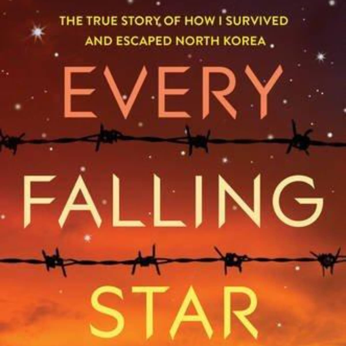 Every Falling Star: An MP3 Audio Journey Through Sungju Lee's Memoir