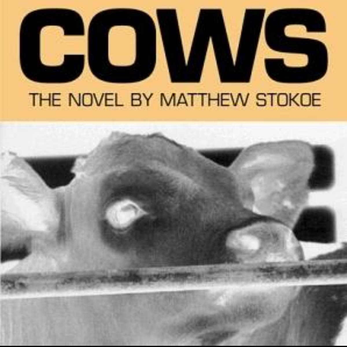 Cows: An Engaging Summary of Matthew Stokoe's Gripping Tale [MP3 Audio Included]