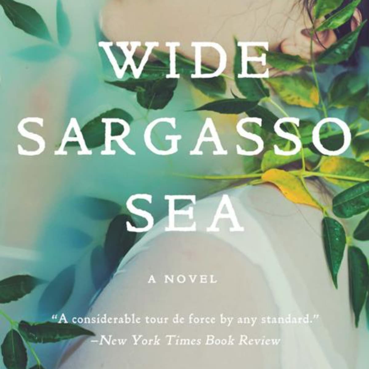Wide Sargasso Sea: A Captivating Summary in MP3 Audio Format