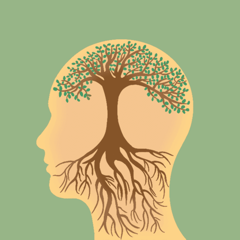 The Power Within: Unlocking the Potential of Your Subconscious Mind