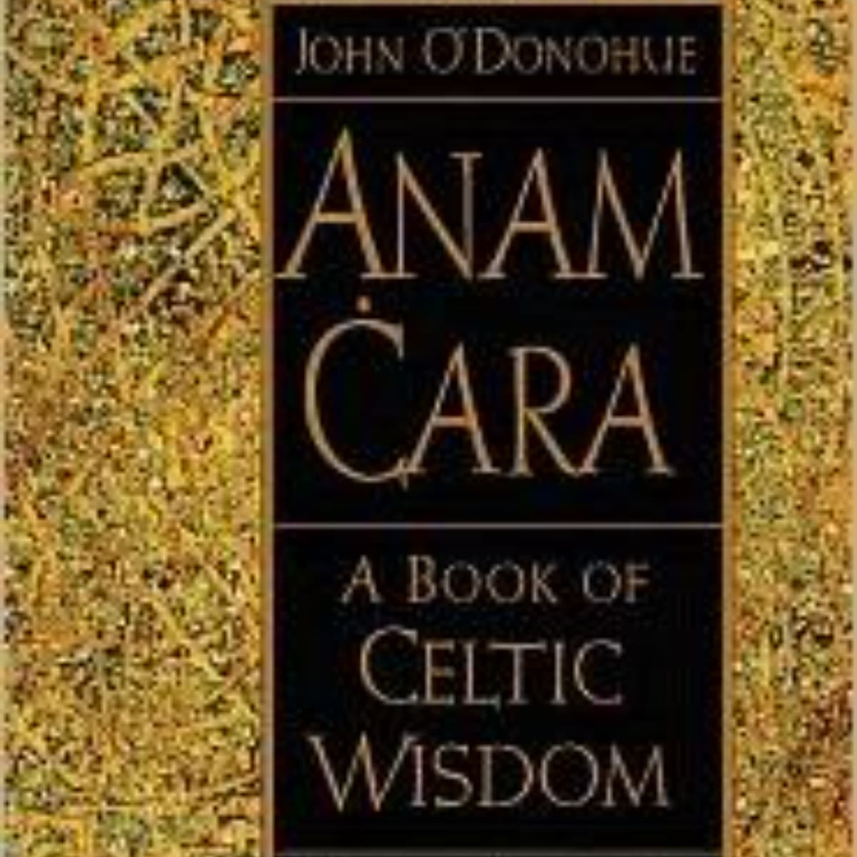 Anam Cara: A Reflection on Soul Friendship and Connection