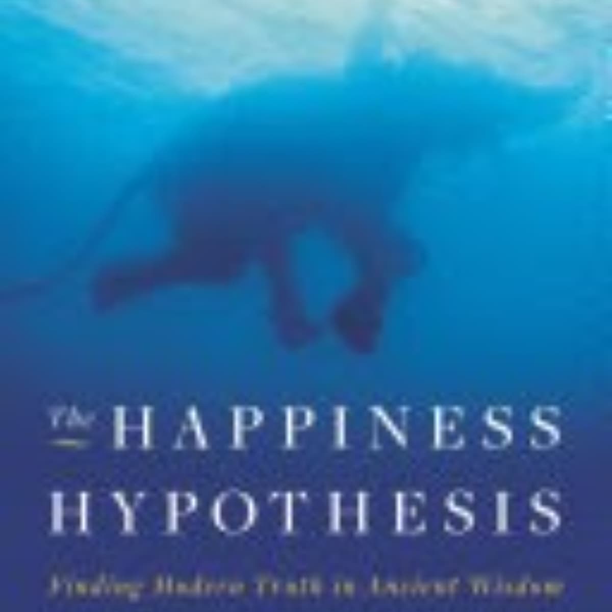 The Happiness Hypothesis: Key Insights for a Fulfilling Life