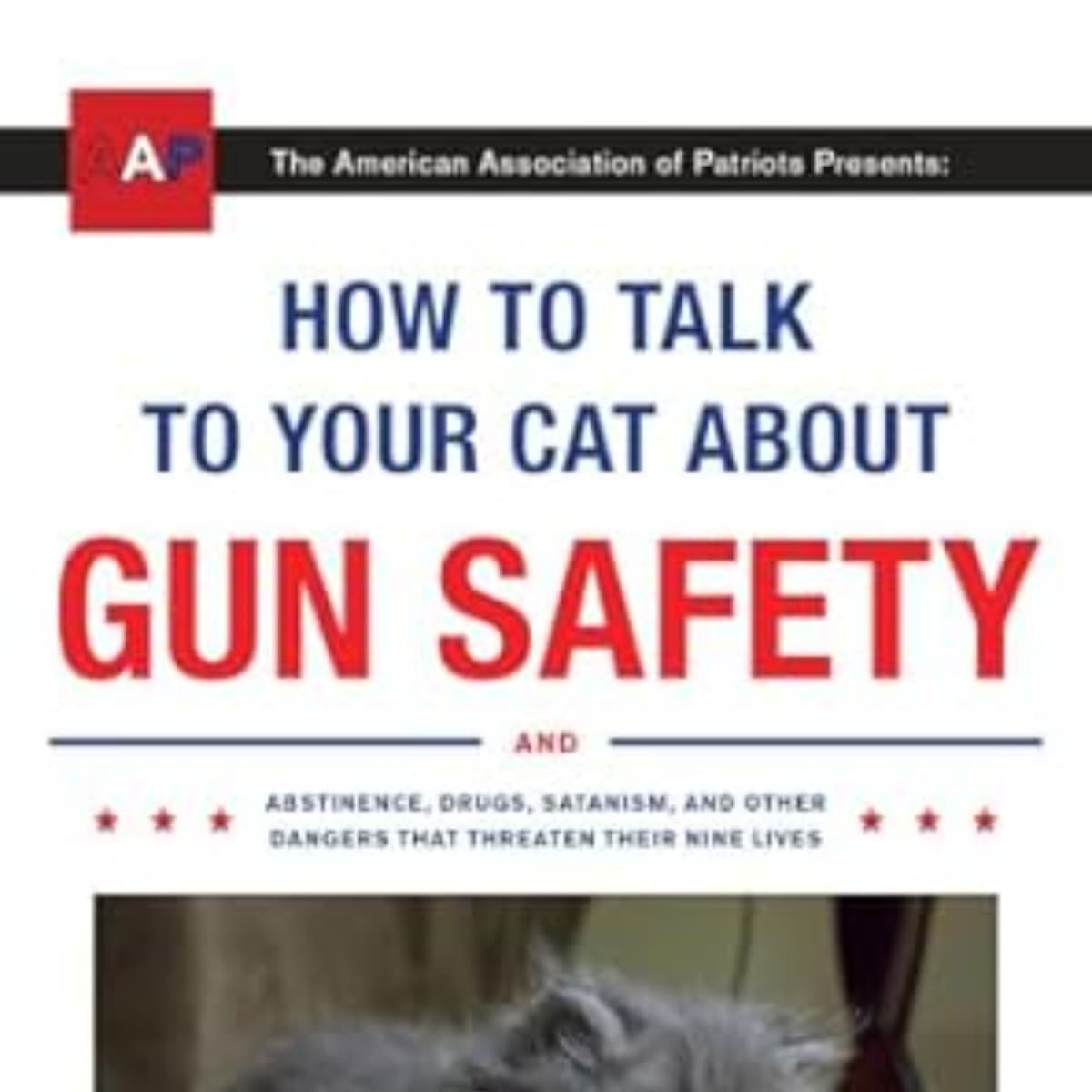 How to Talk to Your Cat About Gun Safety: Summary