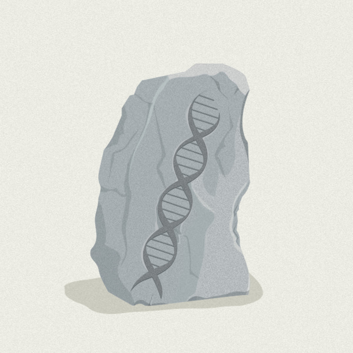 The Definitive Exploration: Why Evolution Is Undeniably True - A Masterpiece by Jerry A. Coyne