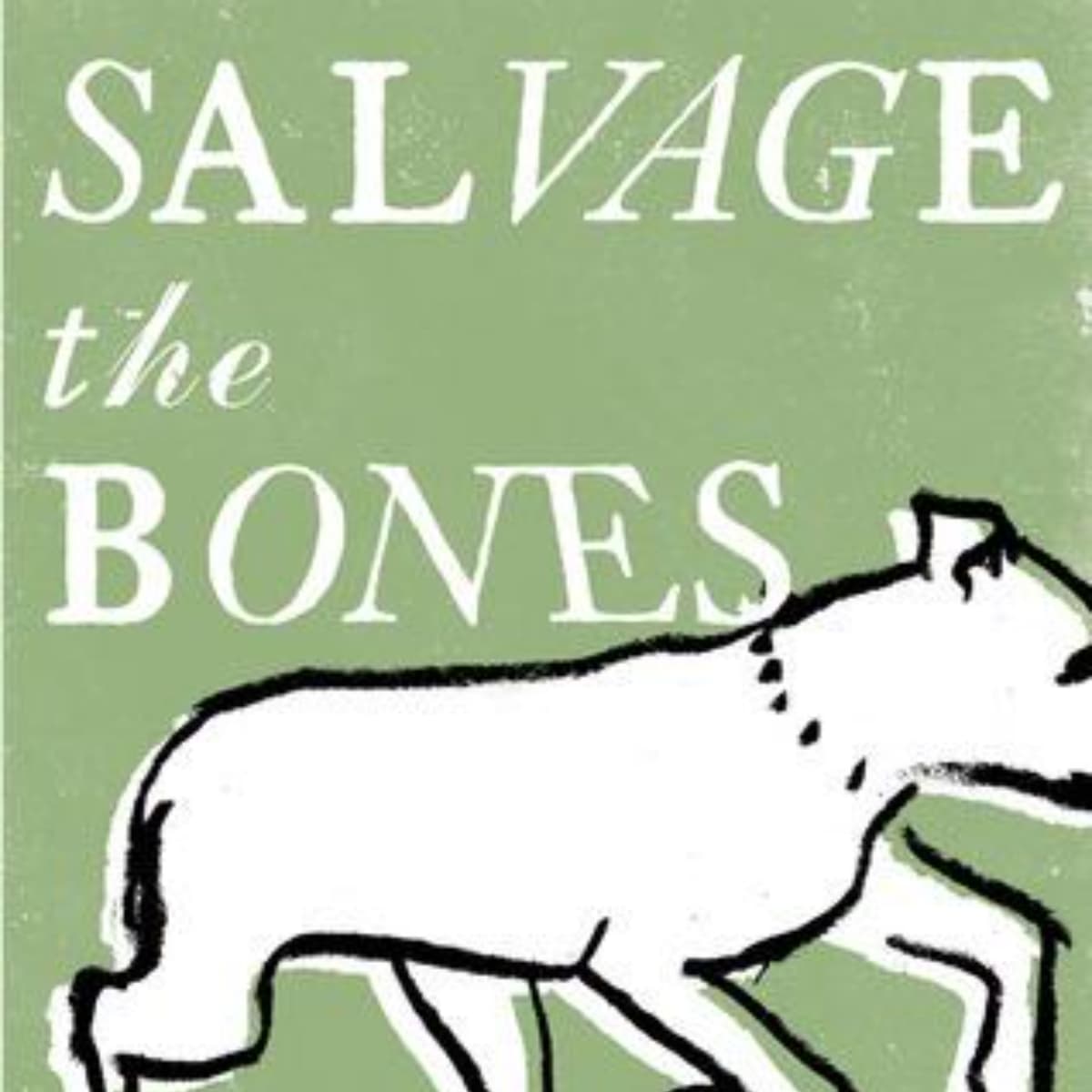Salvage the Bones: An Audio Journey Through Resilience and Survival