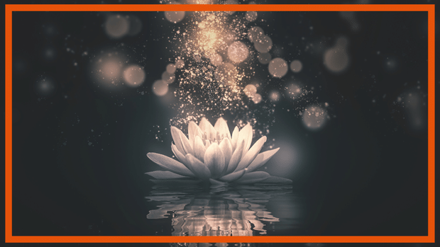 Are You Hiding Your Light? 5 Signs You May Have Imposter Syndrome