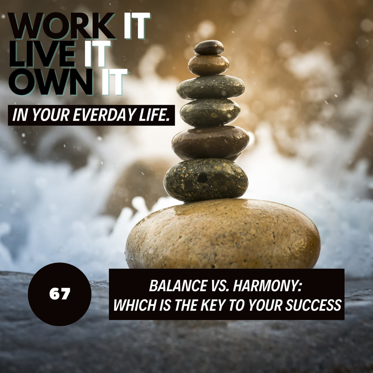 Work-Life Balance vs. Work-Life Harmony : Which is the Key to YOUR Success?