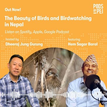 Hem Sagar on the Beauty of Birds and Bird Watching