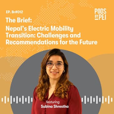 Subina Shrestha on Nepal’s Electric Mobility Transition: Challenges and Recommendations for the Future