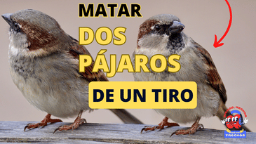 Tenemos un desacuerdo. ¿Es común matar dos pájaros de un tiro?
