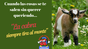 Cuando las cosas se te salen sin querer queriendo...