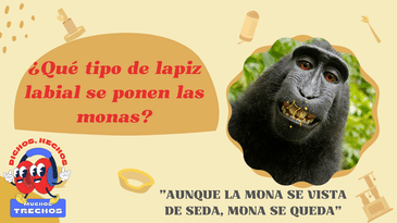 ¿Qué tipo de lápiz labial se ponen las monas?